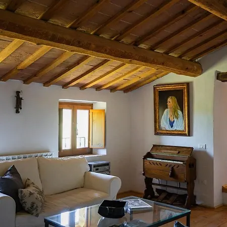 Stylish - Gelsi Pergola