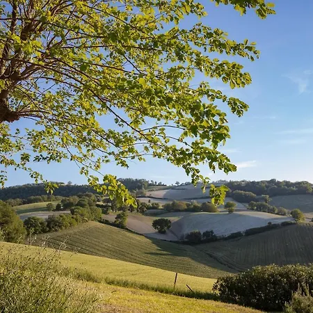 Stylish - Gelsi Villa Pergola