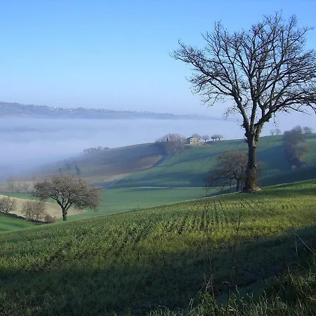 Villa Stylish - Gelsi Pergola