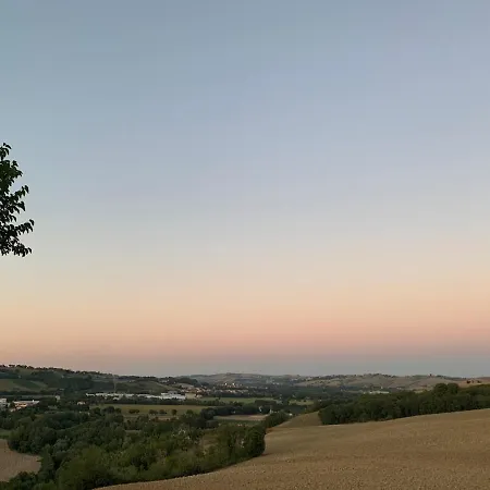 Stylish - Gelsi Pergola