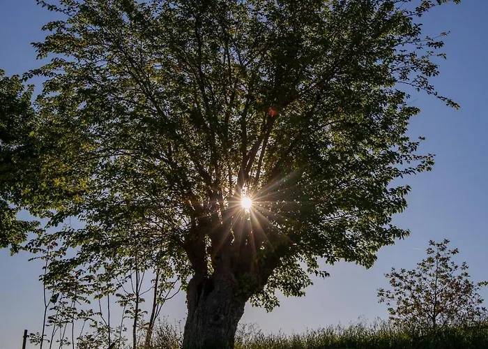 Villa Stylish - Gelsi Pergola