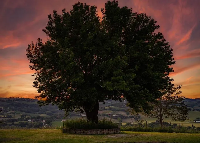 Stylish - Gelsi Villa Pergola