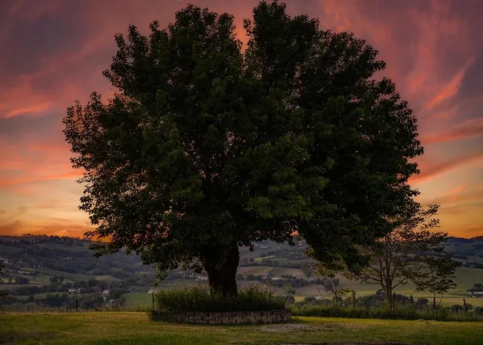 Stylish - Gelsi Villa Pergola