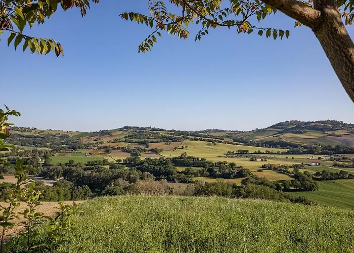 Stylish - Gelsi * Pergola