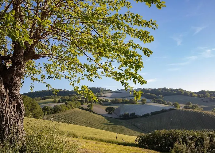 Stylish - Gelsi Villa Pergola