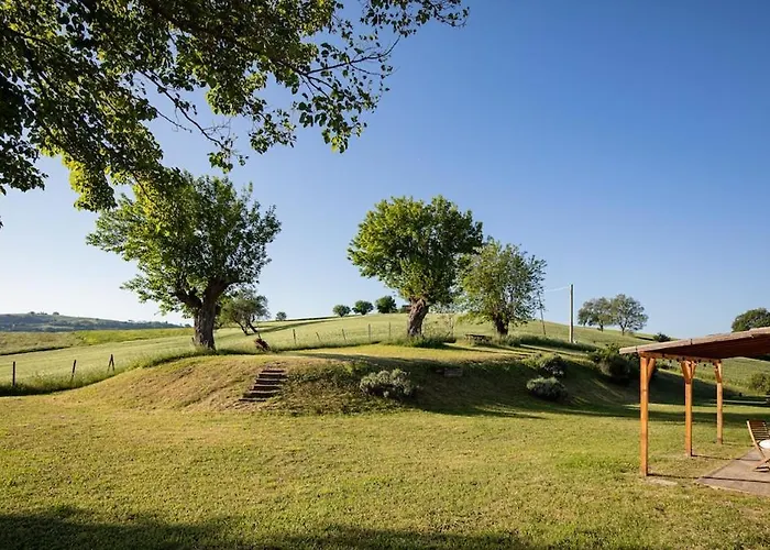 Stylish - Gelsi Pergola