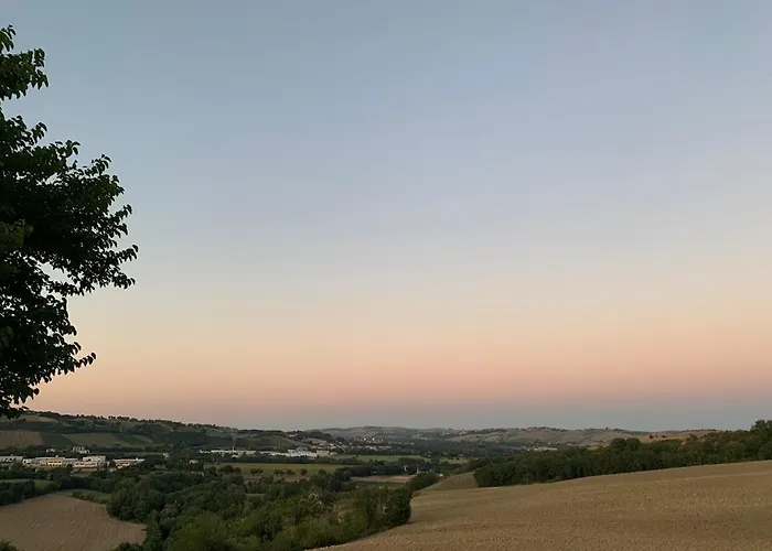 Stylish - Gelsi Pergola