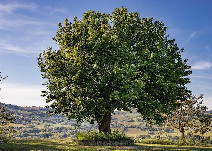 Stylish - Gelsi Villa